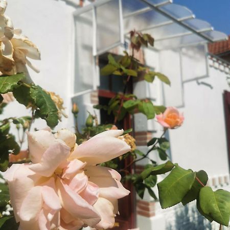 Вилла Au Coin Fleuri Ла-Бернери-ан-Рец Экстерьер фото